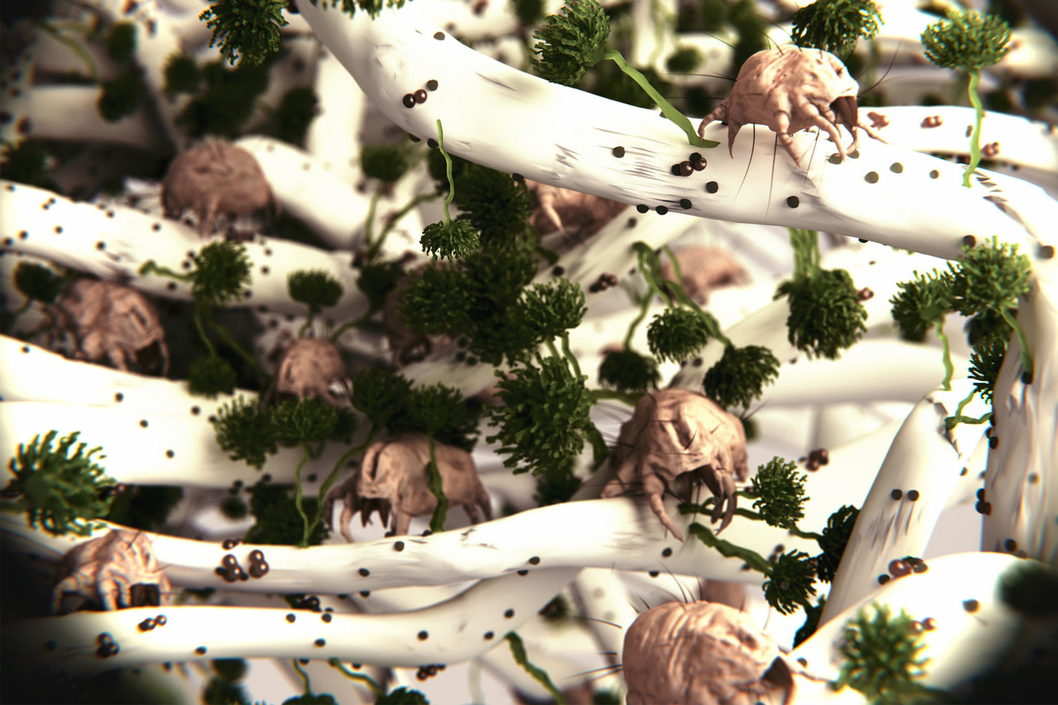 What Are Dust Mites? MatrixAir